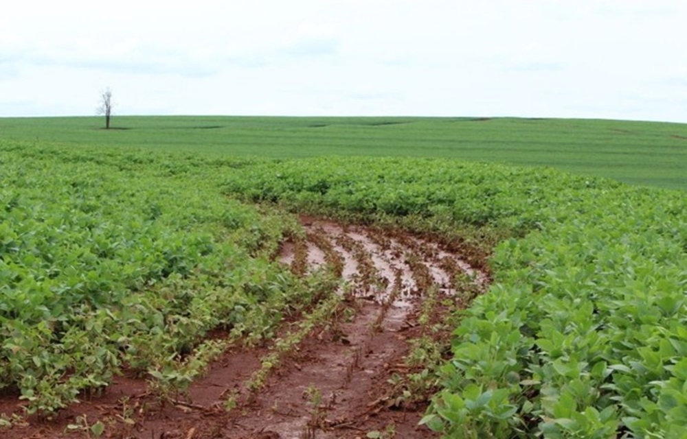 Ir para  <p>A semana registrou um volume de chuvas elevado em diversos munic&iacute;pios da regi&atilde;o do Alto Uruguai, com acumulado no m&ecirc;s de outubro, at&eacute; o momento de 225 mil&iacute;metros em Erechim. O excesso...